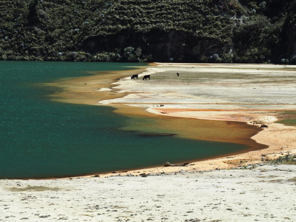 Laguna Jatuncocha Nahaufnahme